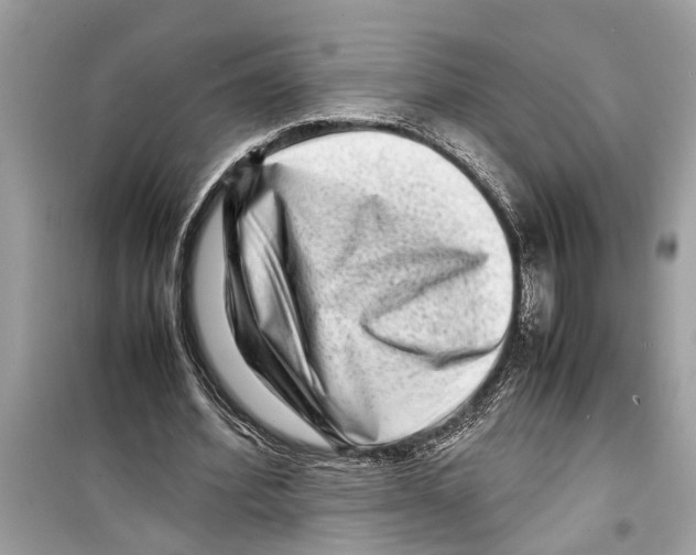 X0000098220580200805221650