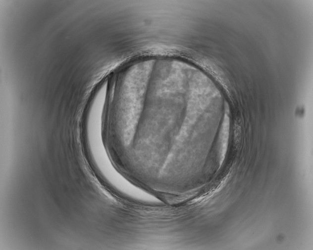 X0000098220581200805221650
