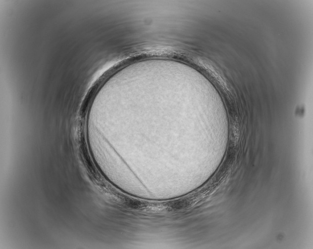 X0000098220583200805221650