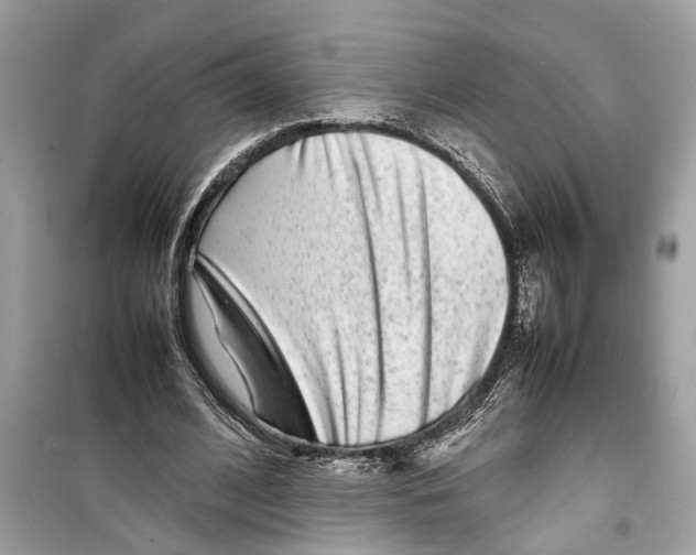 X0000098220584200805221650