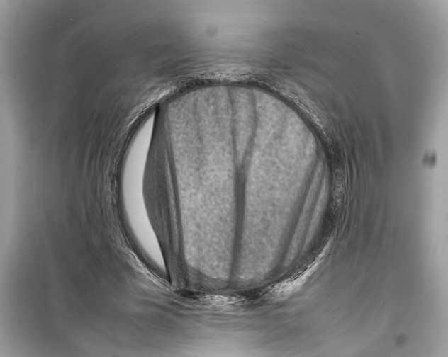 X0000098220585200805221650