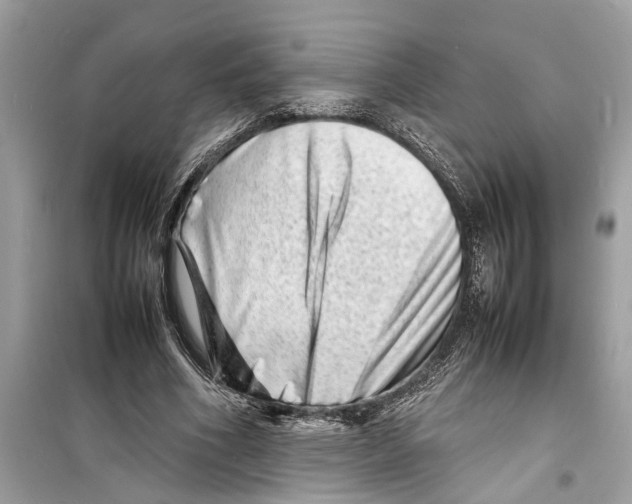 X0000098220586200805221650