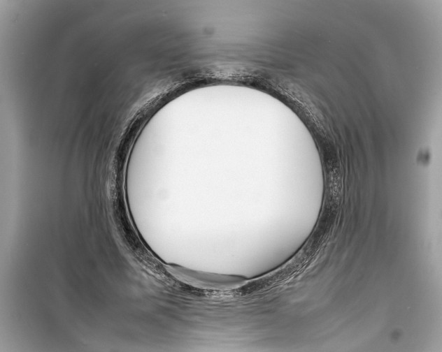 X0000098220587200805221650