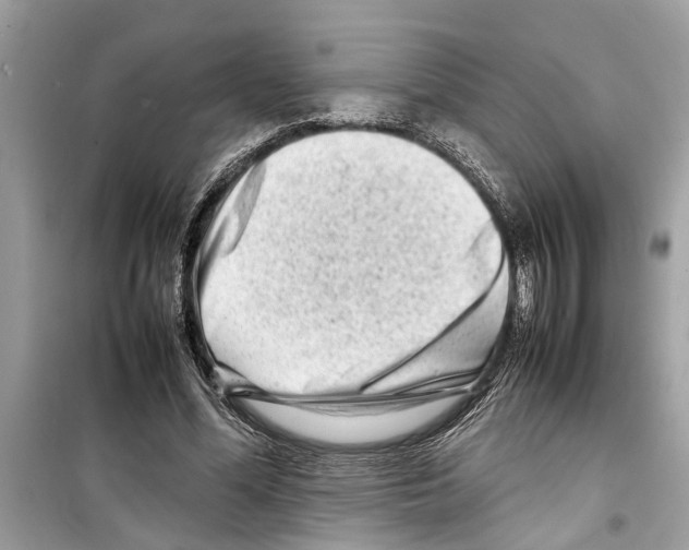 X0000098220588200805221650