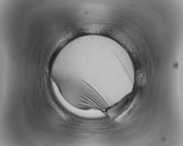 X0000098220589200805221650
