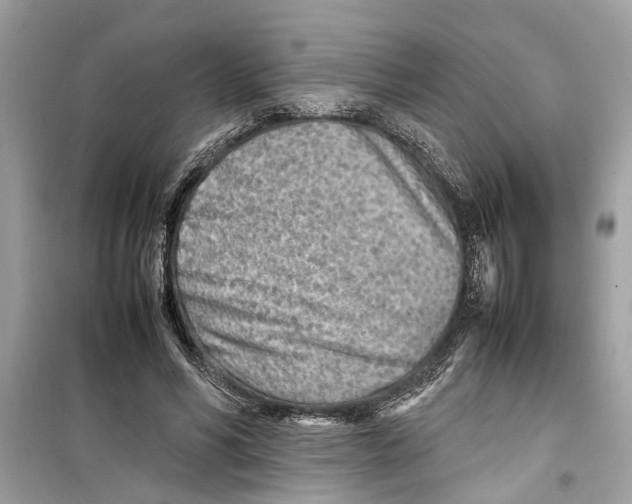 X0000098220590200805221650