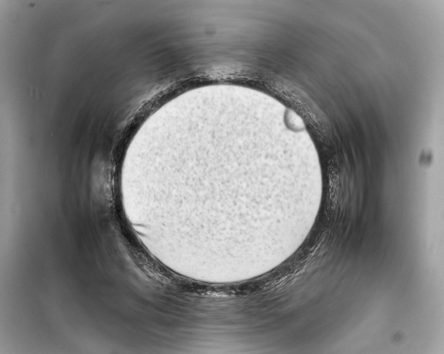 X0000098220592200805221650