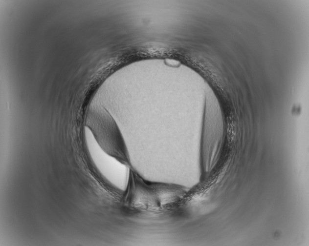 X0000098220593200805221650