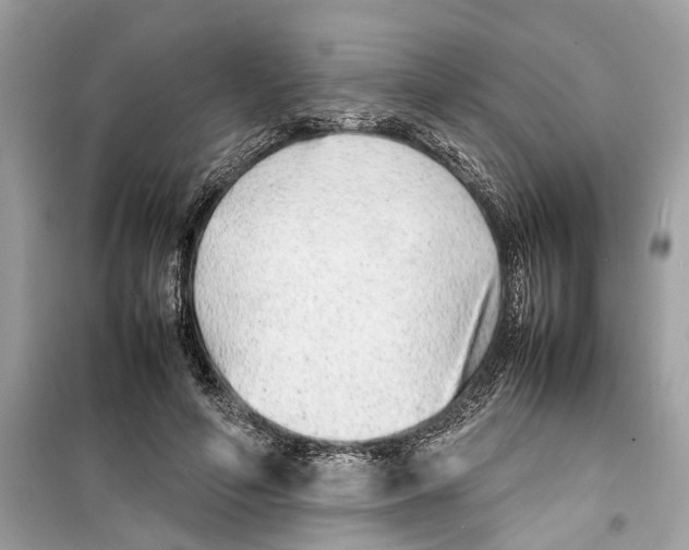 X0000098220594200805221650