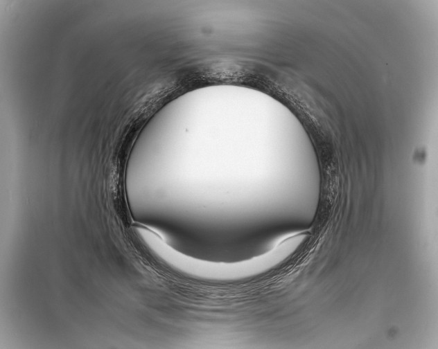 X0000098220597200805221650