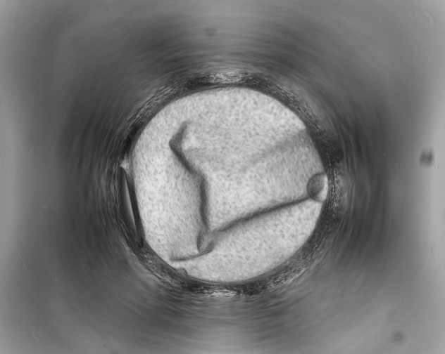 X0000098220598200805221650