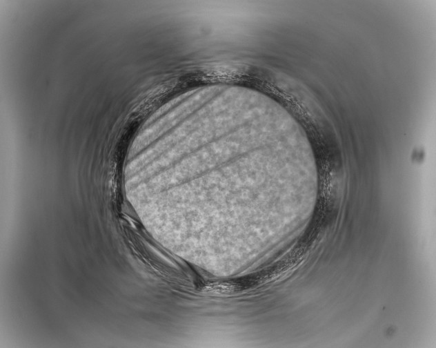 X0000098220599200805221650