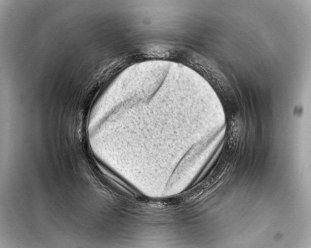 X0000098220600200805221650
