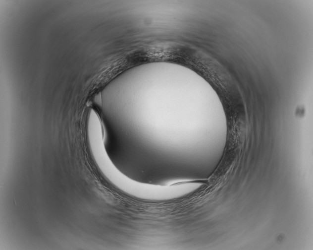 X0000098220601200805221650