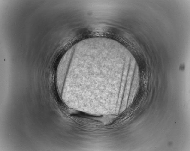 X0000098220603200805221650