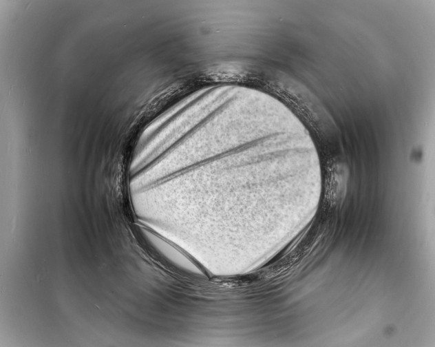 X0000098220604200805221650