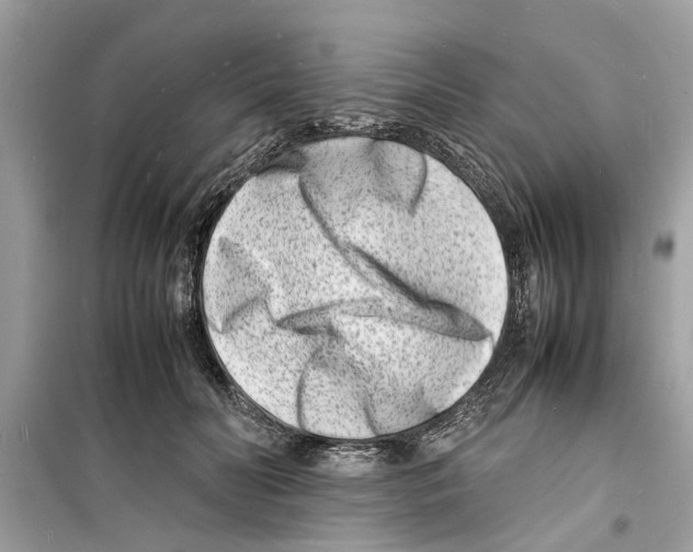 X0000098220606200805221650