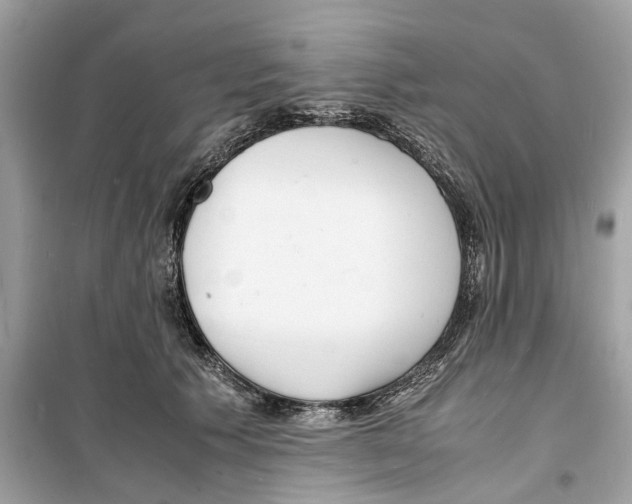 X0000098220609200805221650