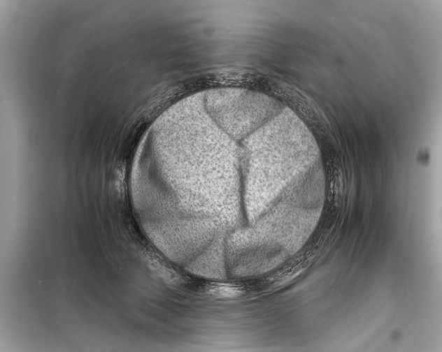 X0000098220610200805221650