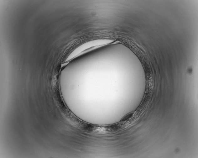 X0000098220611200805221650