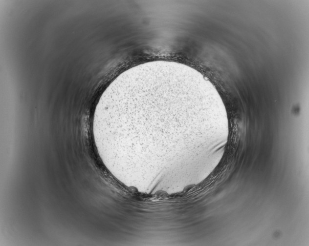 X0000098220612200805221650