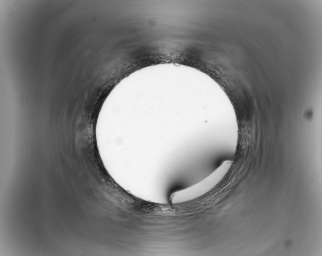 X0000098220613200805221650