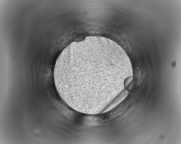 X0000098220614200805221650
