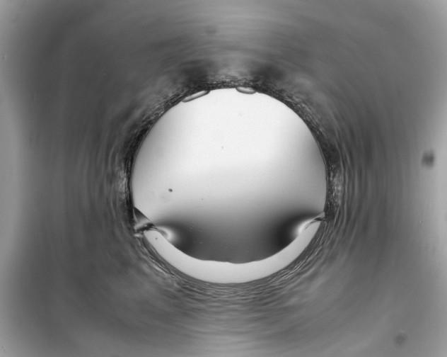 X0000098220617200805221650