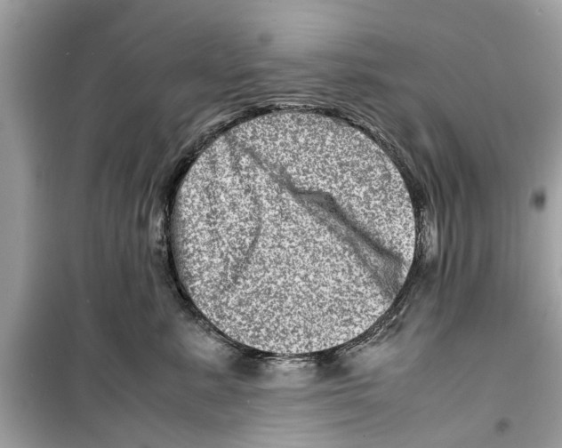 X0000098220619200805221650