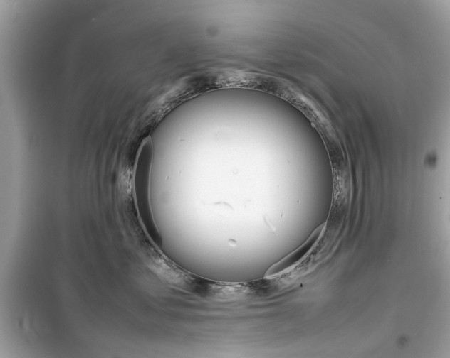 X0000098220621200805221650