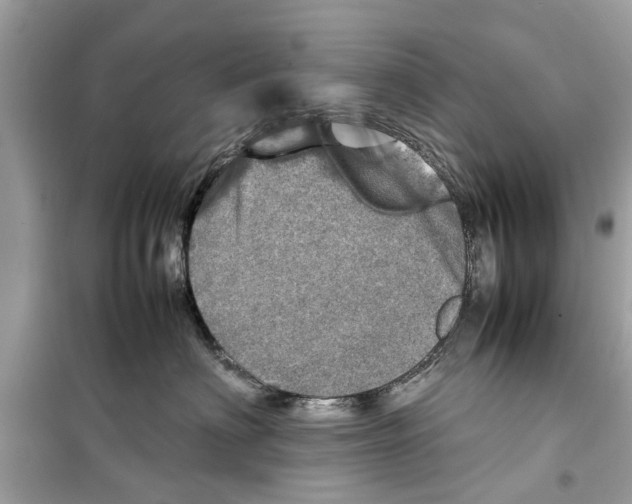 X0000098220622200805221650
