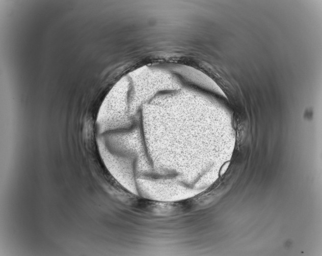 X0000098220623200805221650