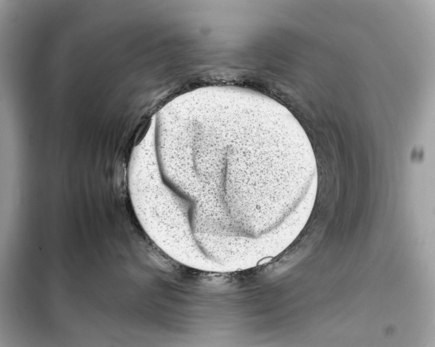 X0000098220624200805221650