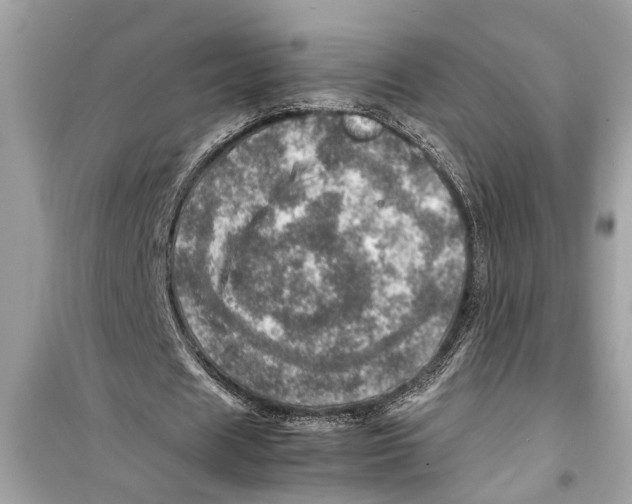 X0000098220625200805221649