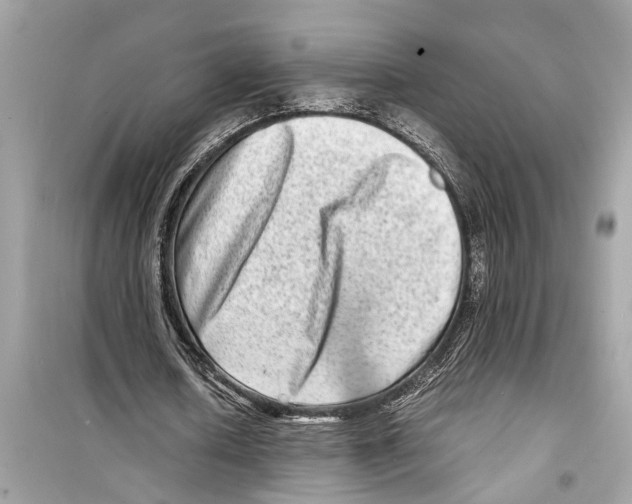 X0000098220626200805221649
