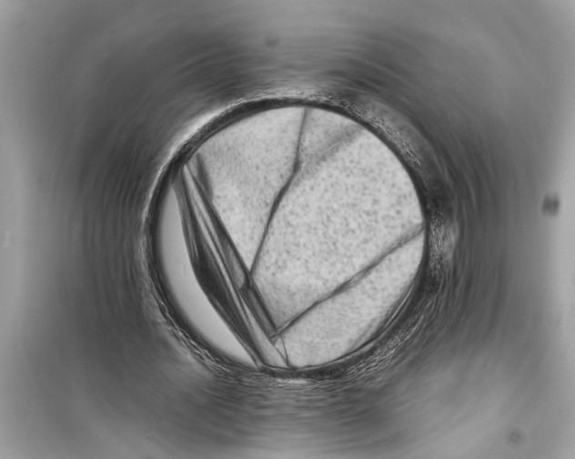 X0000098220628200805221649
