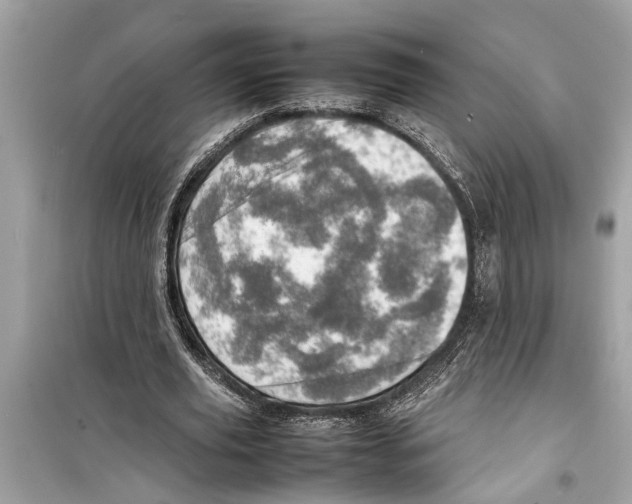 X0000098220629200805221649