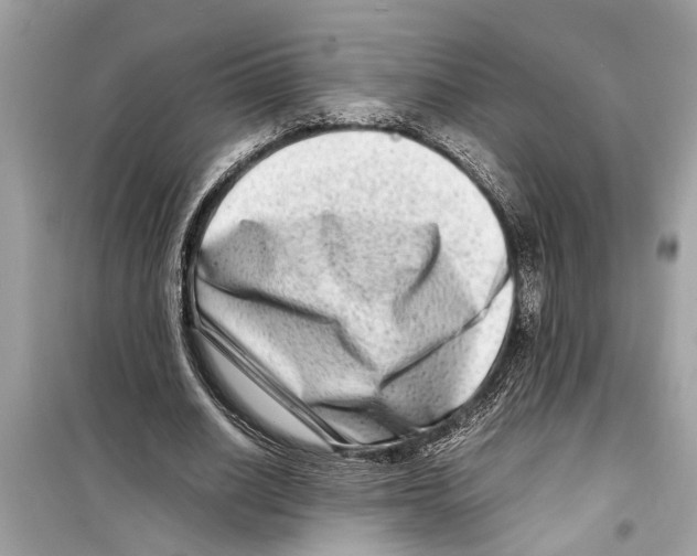 X0000098220630200805221649