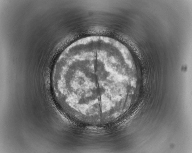 X0000098220633200805221649