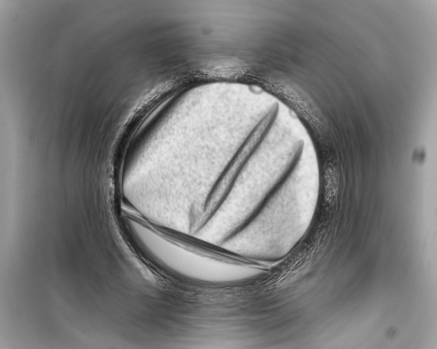 X0000098220634200805221649