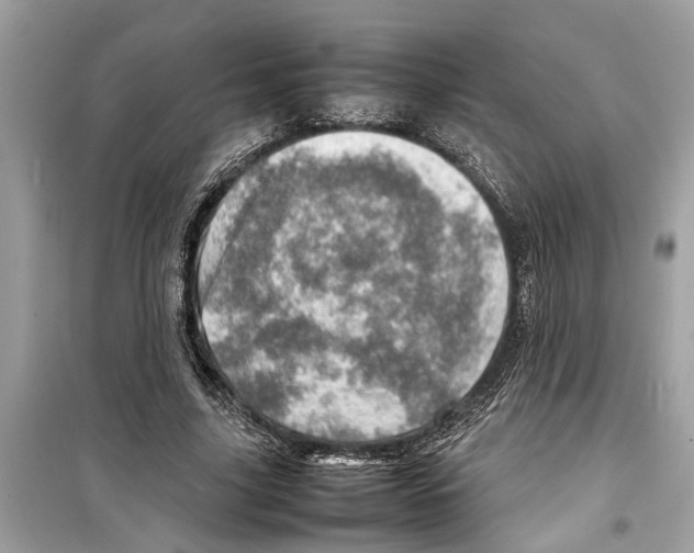 X0000098220635200805221649