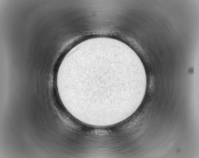 X0000098220636200805221649