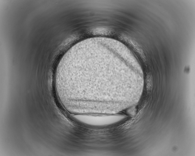 X0000098220637200805221649