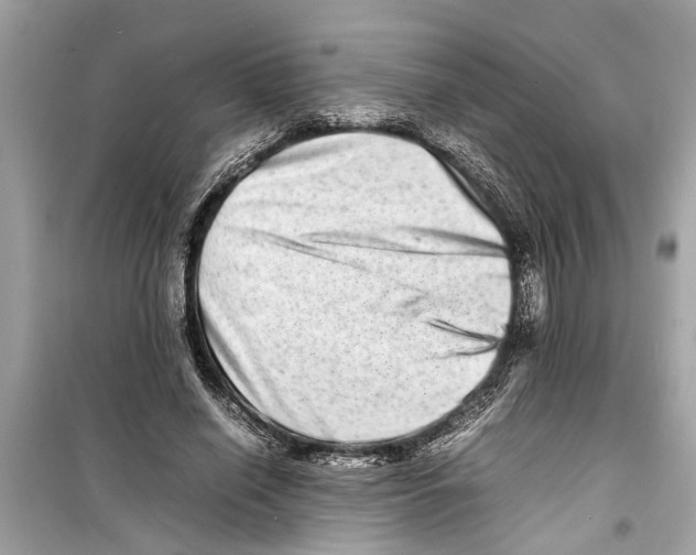 X0000098220638200805221649