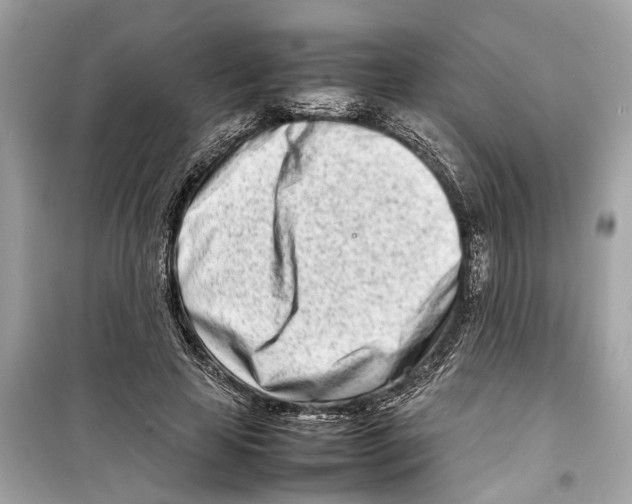 X0000098220641200805221649