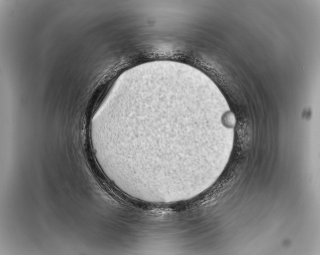 X0000098220642200805221649
