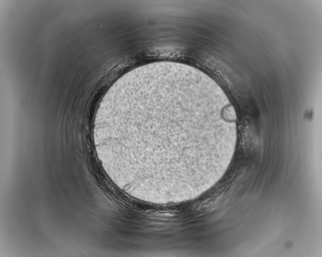 X0000098220643200805221649