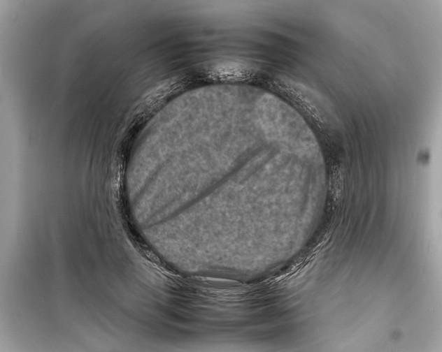 X0000098220645200805221649