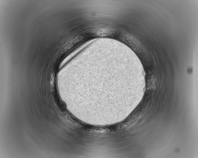 X0000098220646200805221649