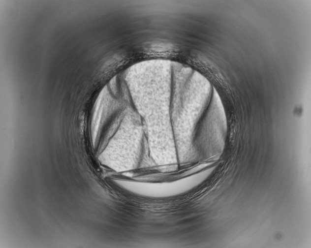 X0000098220647200805221649